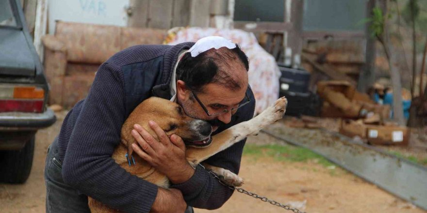 Antalya’da köpek kulübesinin yıkıldığı iddiası baltalı kavgaya döndü