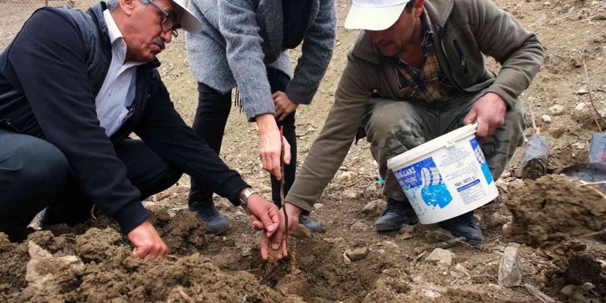 Gündoğmuş’a ceviz fidanı ve hamur makinesi yardımı