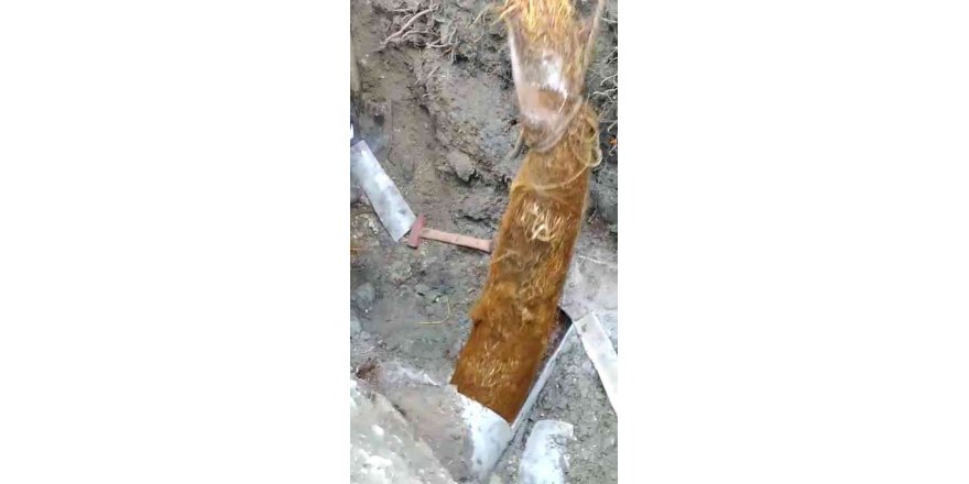 Su borusundan çıkan kök görenleri şaşırttı
