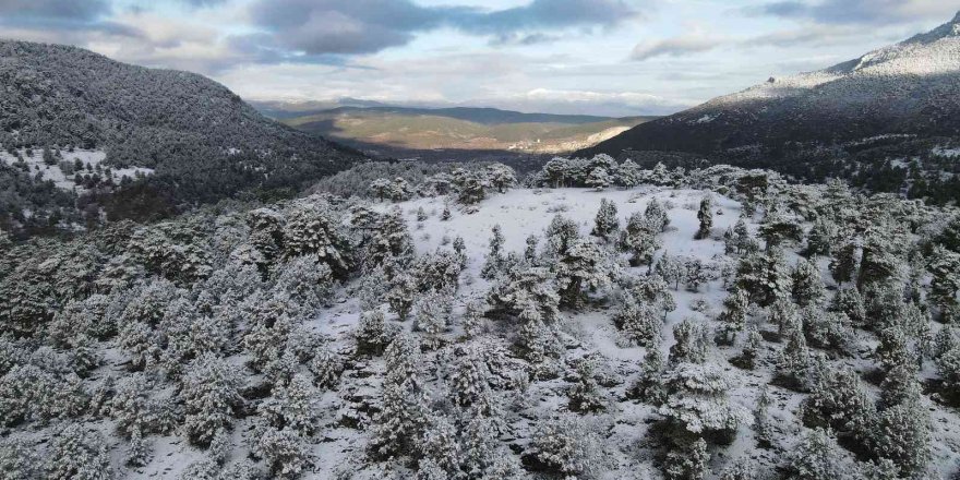 Yeşille beyazın birleşmesi kendine hayran bıraktırdı