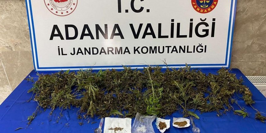 Adana’da 232 adet kök kenevir bitkisi ele geçirildi