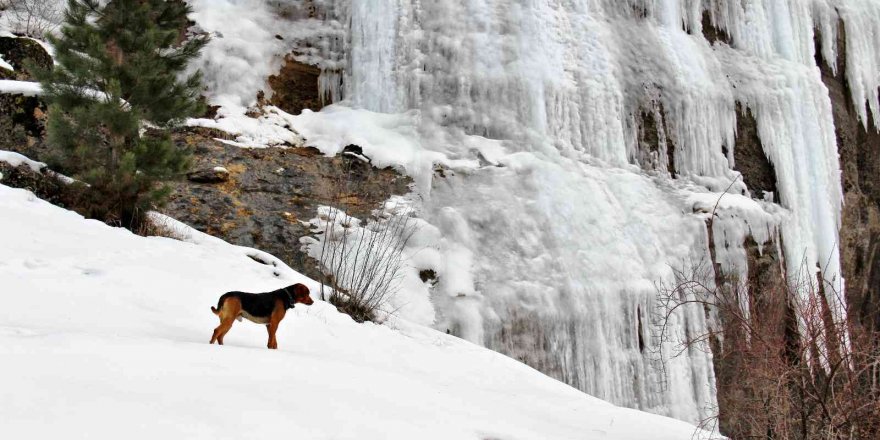 Kahramanmaraş’ta Zopzop Mağarası buz tuttu