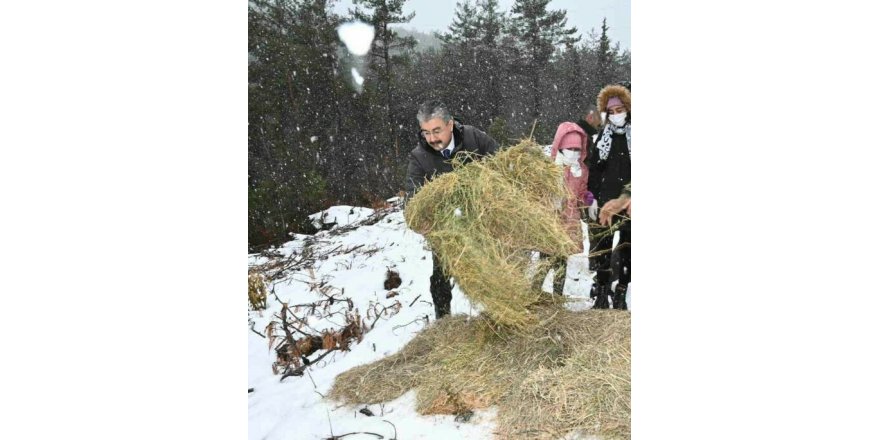 Yoğun kar yağışında yaban hayvanları unutulmadı