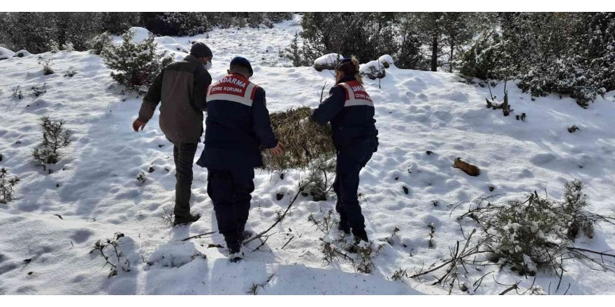 Jandarma yaban hayvanları unutmadı