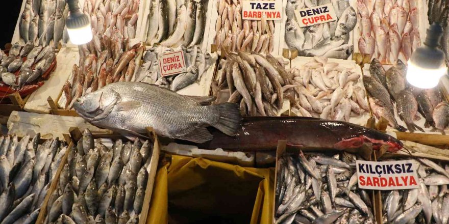 Balığın kulağına kar suyu kaçtı