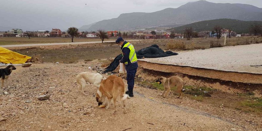 Kokuteli’de jandarmadan anlamlı davranış