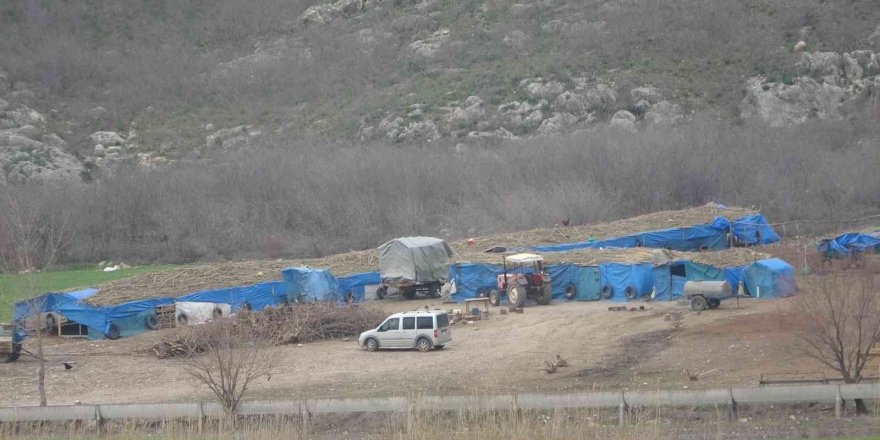 Koyunu kurtarmak isteyen çobanın feci ölümü