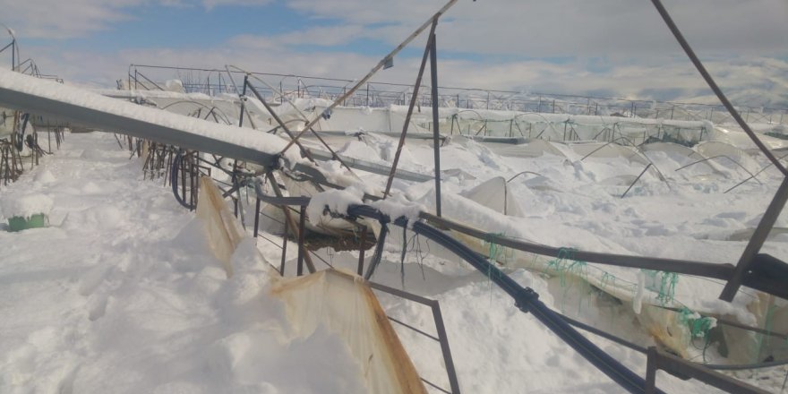 Isparta’da Seralar Yoğun Kar Yağışına Dayanamadı