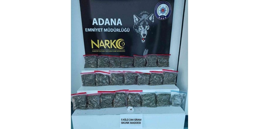 Adana’da 5 kilo 244 gram skunk ele geçirildi