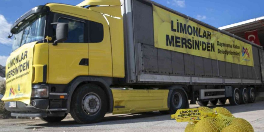 Mersin’den 4 büyük şehre limon gönderildi