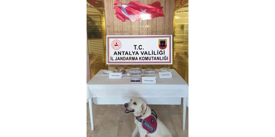 Alanya’da 2 kilo esrar ele geçirildi