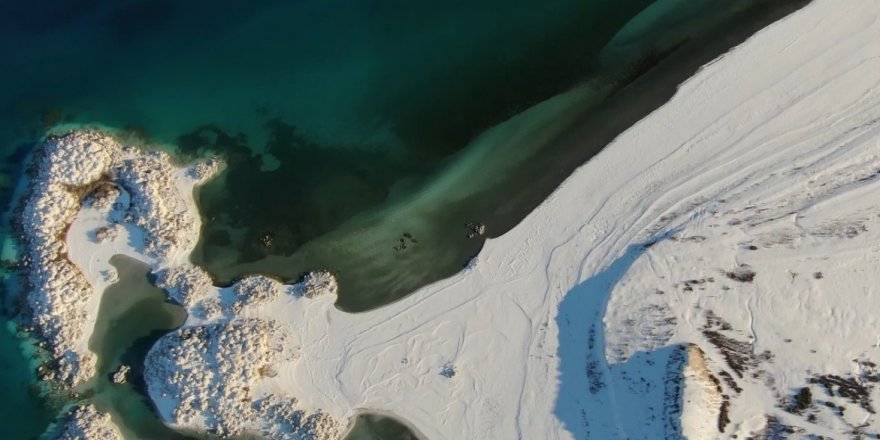 Göller bölgesinde Ocak ayında  298 bin 445 adet su kuşu tespit edildi