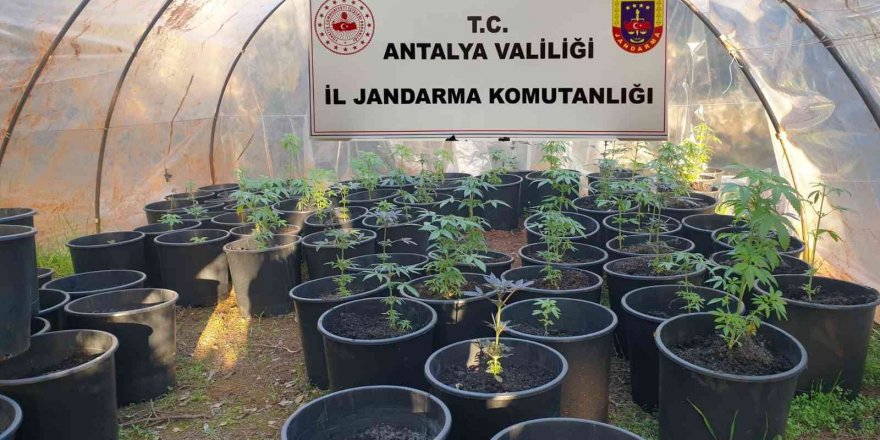 Antalya’da jandarmadan uyuşturucu serasına baskın