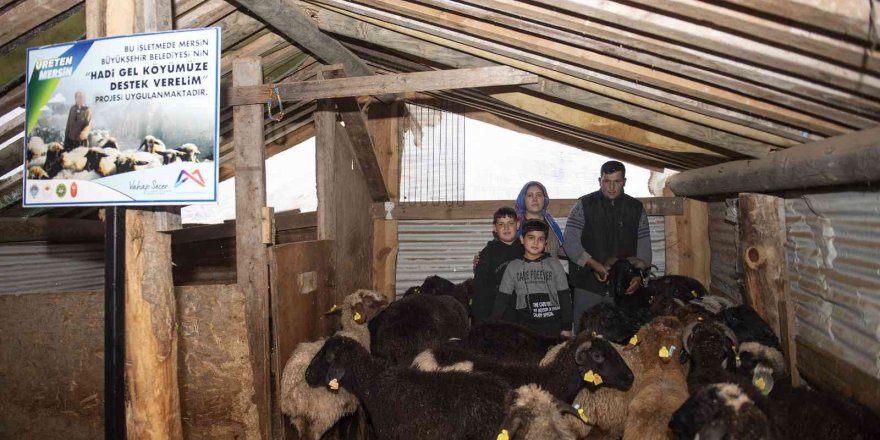 ’Haydi gel köyümüze destek verelim’ projesi, damızlıklarla çoğalıyor