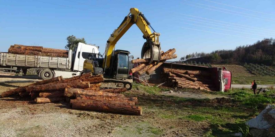 Yangın bölgesinde kesilen ağaçları taşıyan kamyon devrildi