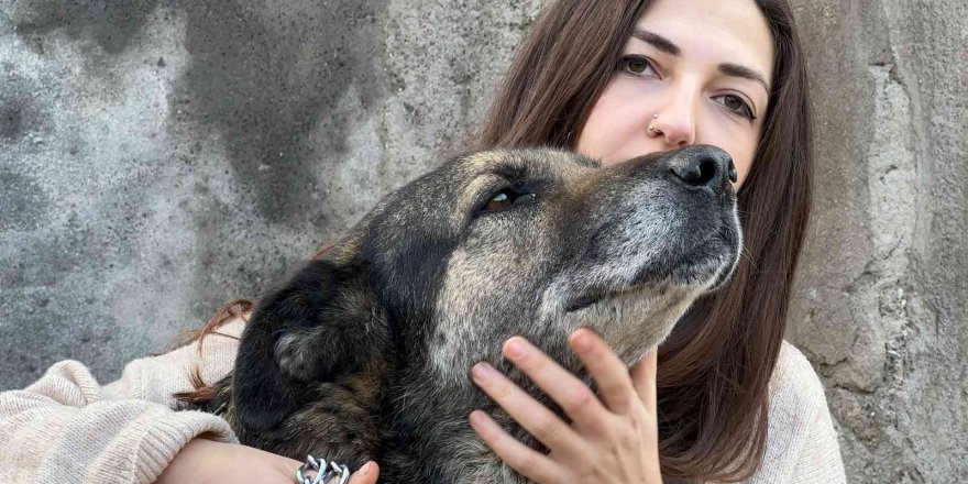 Komşusunun kızına ve köpeğine ağaç dalıyla saldırdı