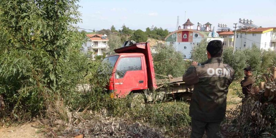 Ağaç katliamında kesilen ağaçları taşıyan kamyon önce güvenlik kameralarına. sonra jandarmaya yakalandı