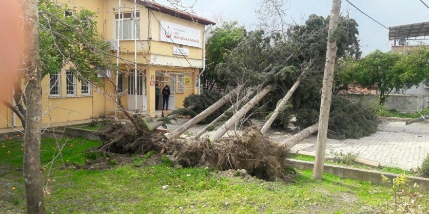 Hatay’da fırtına çatıları uçurdu ağaçları kökünden söktü