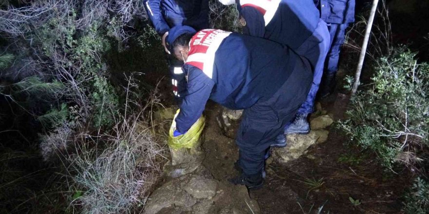 Mezarlık yakınındaki ormanlık alanda  ağzı bağlanmış köpek cesedi çıktı