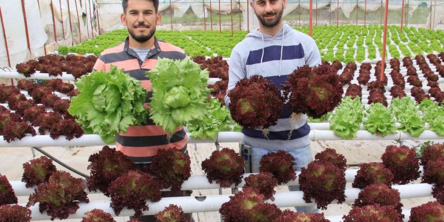 İşçiliği bırakıp çiftçiliğe başladılar, yılda 8 hasat yapıyorlar