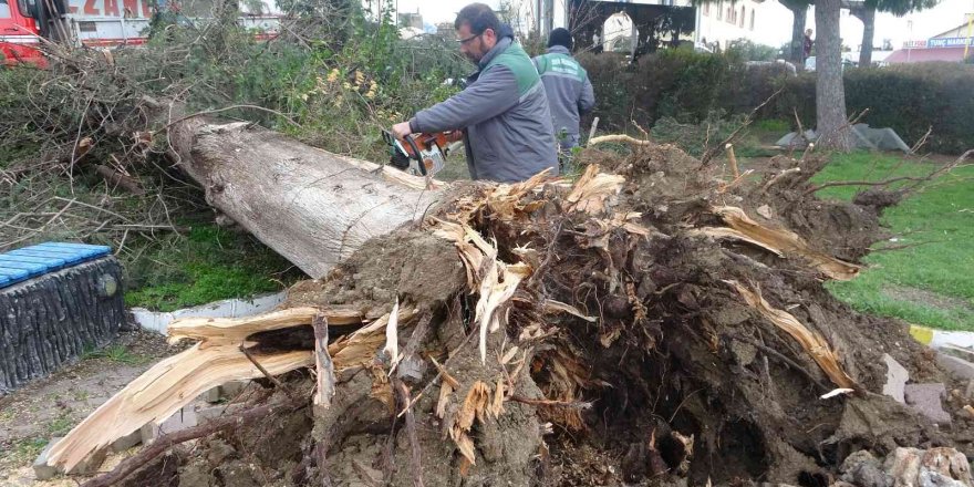 Antalya’da hortumun vurduğu mahallede dehşet gün ağarınca ortaya çıktı