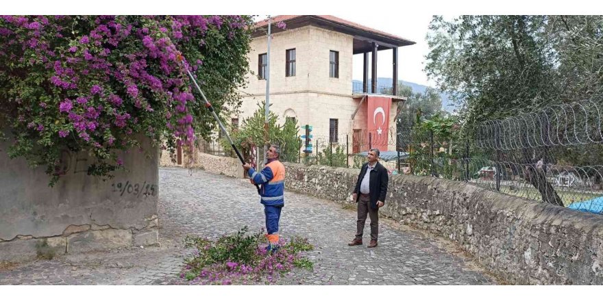 Sürücülere engel ağaçlar budanıyor