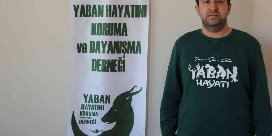 Av yasağı başladı