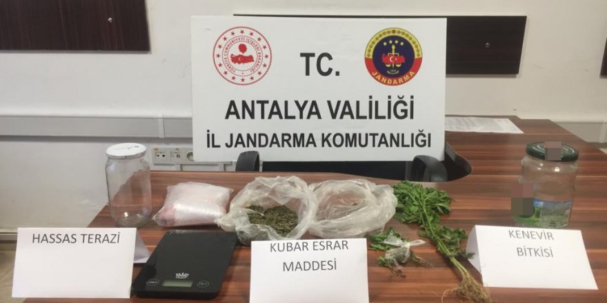 Alanya’da jandarmadan uyuşturucu operasyonu