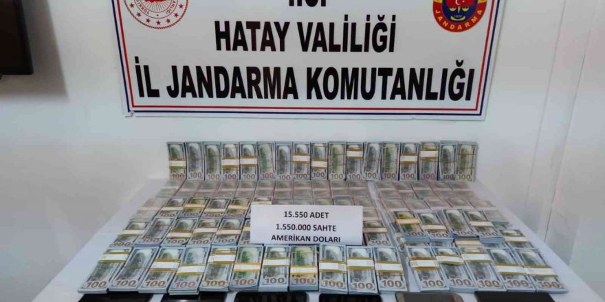 Hatay’da 1 milyon beşyüz bin dolarlık sahte para operasyonu