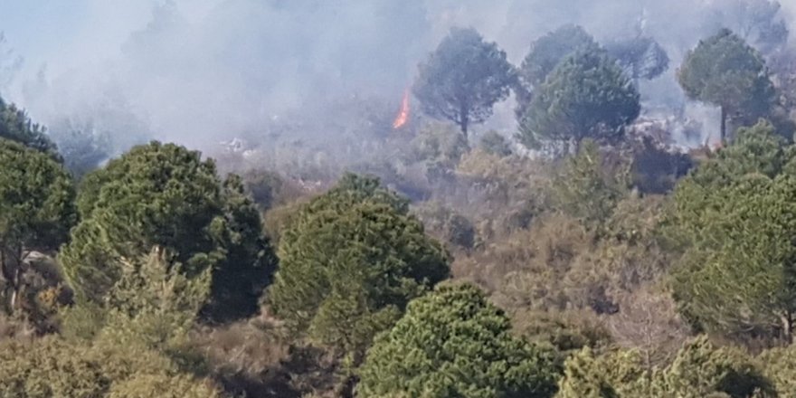 Alanya’da ormanlık alanda yangın