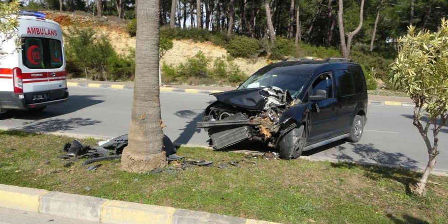 Kontrolden çıkan ticari araç palmiyeye çarptı: 2 yaralı