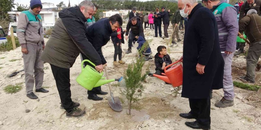 Mersin’de 35 hektar alana 45 bin fidan dikildi