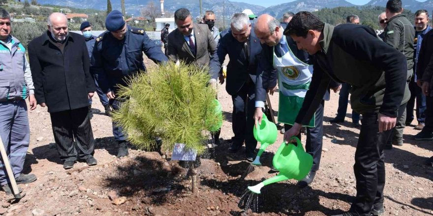 Kumluca’da 250 15 Temmuz Şehidi anısına 250 fidan dikildi