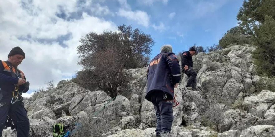 Mahsur kalan keçi kurtarıldı