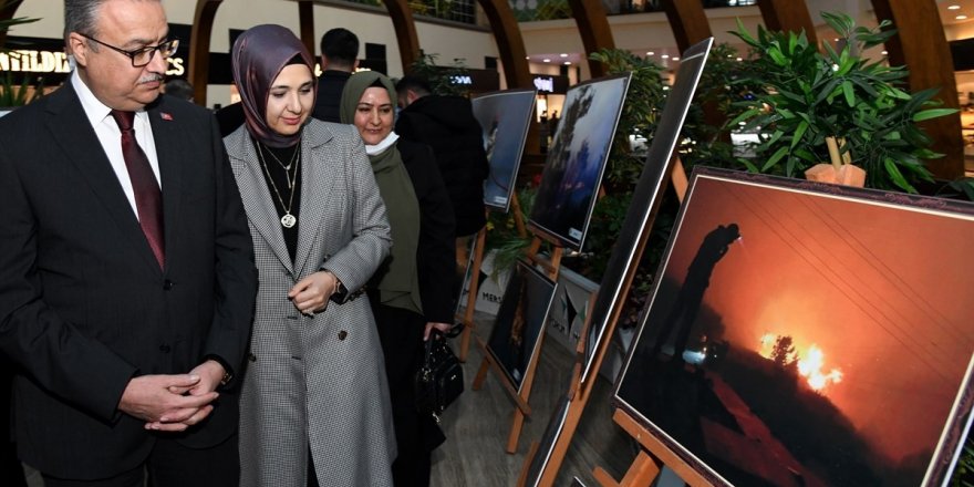 Vali Su, Dünya Ormancılık Günü Fotoğraf Sergisini açtı