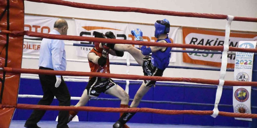 Muaythai Büyükler Türkiye Şampiyonası başladı