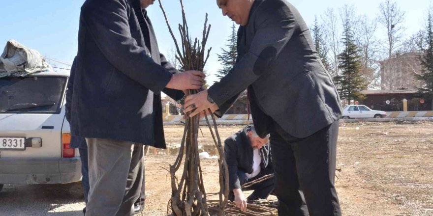 Elbistan’da üreticilere 6 bin 300 adet ceviz fidanı dağıtıldı