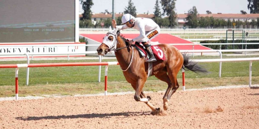 ÇGC Koşusunu "Bebesha" kazandı