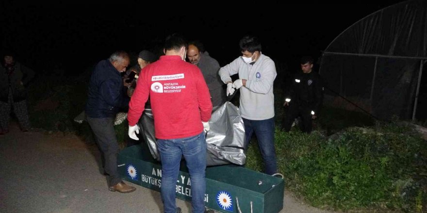 Antalya’da yaşlı adam serada ölü bulundu, ortağı gözyaşlarını tutamadı