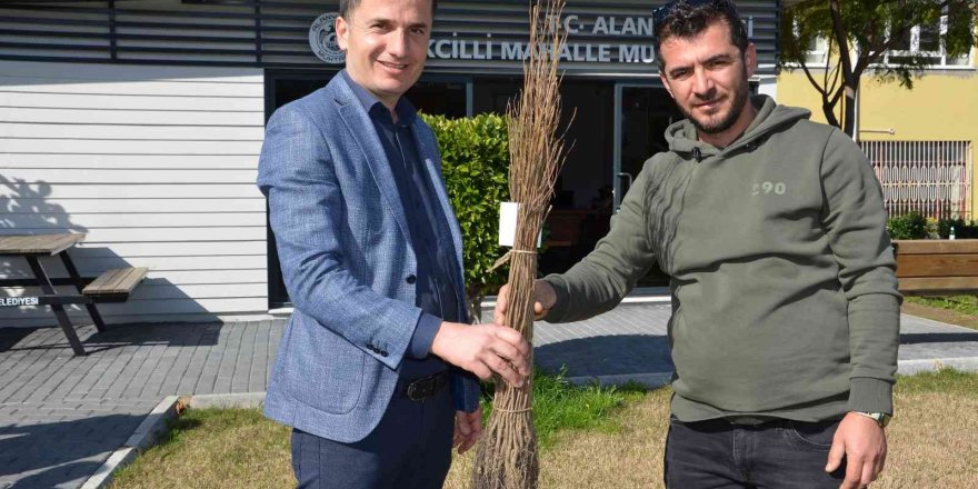 Alanya’da 140 bin meyve fidanı dağıtıldı