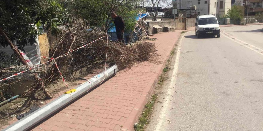 2 yıl önce kazayı kıl payı atlatan köpek bu kez kurtulamadı