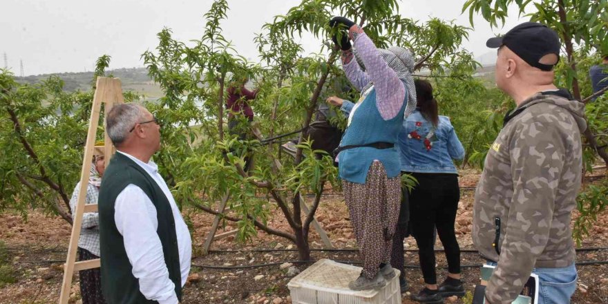 Tarsuslu çiftçiler, doğru ve sürdürülebilir tarım için bilgilendirildi