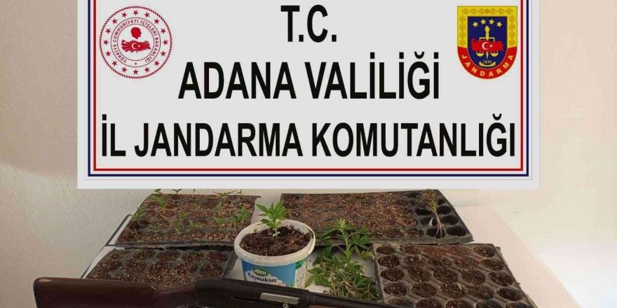 Adana’da kenevir eken 3 kişi yakalandı