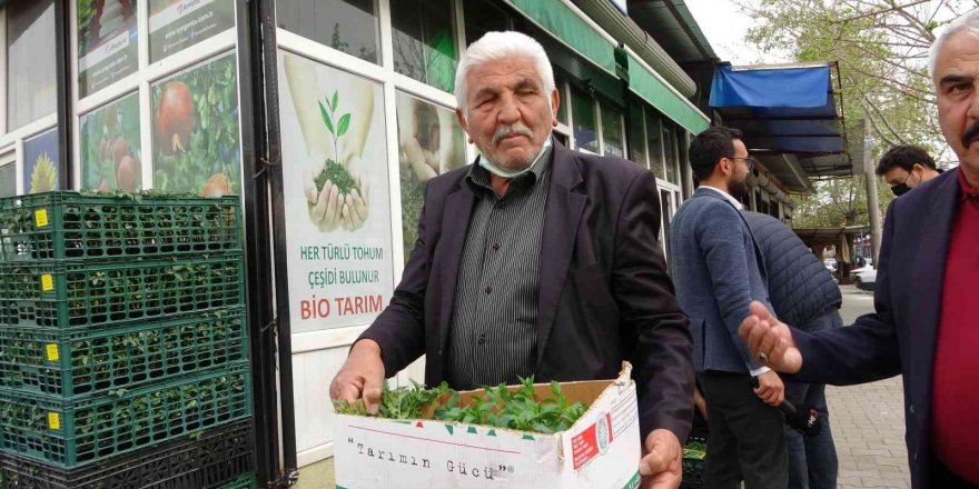 Günde 10 bin fide satılıyor: Vatandaş üretici oldu