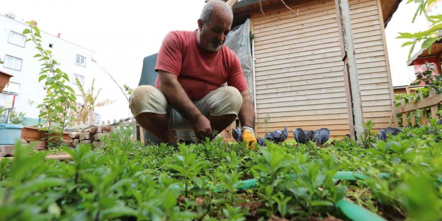 Mezitli Belediyesi hobi bahçesinde bahar hareketliliği