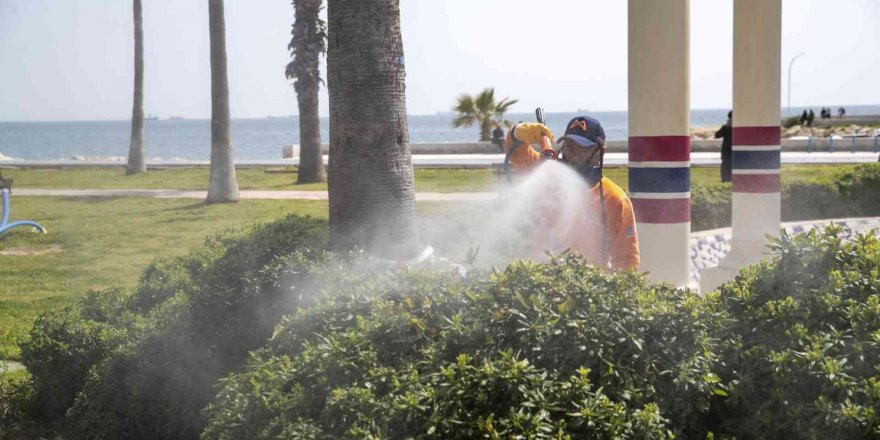Mersin’de ilaçlama çalışmaları hız kazandı
