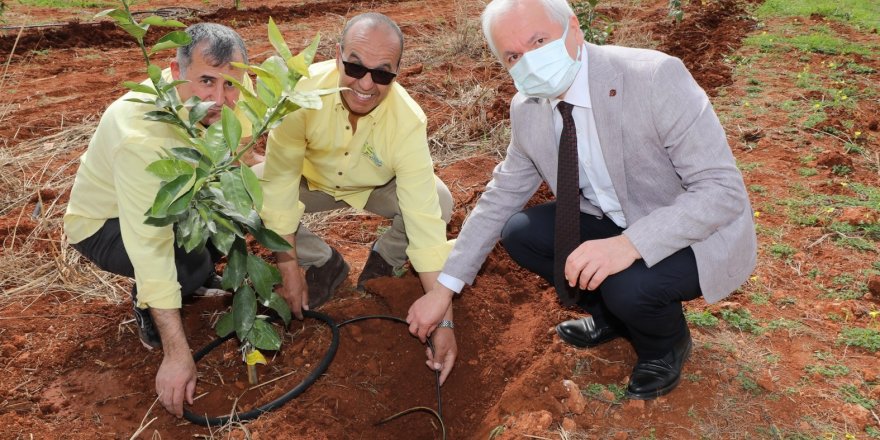Yeni sulama sistemi, AÜ Ziraat Fakültesi’nde bilimsel olarak kullanılmaya başlandı