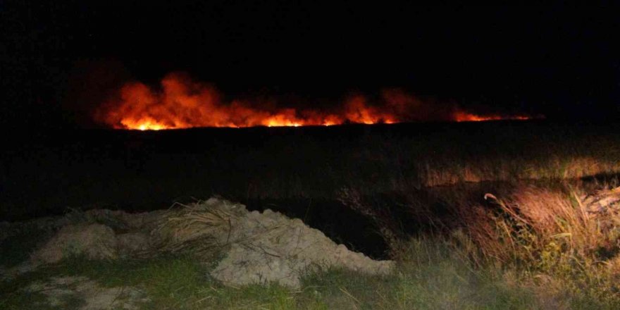 Göksu Deltası’nda yangın