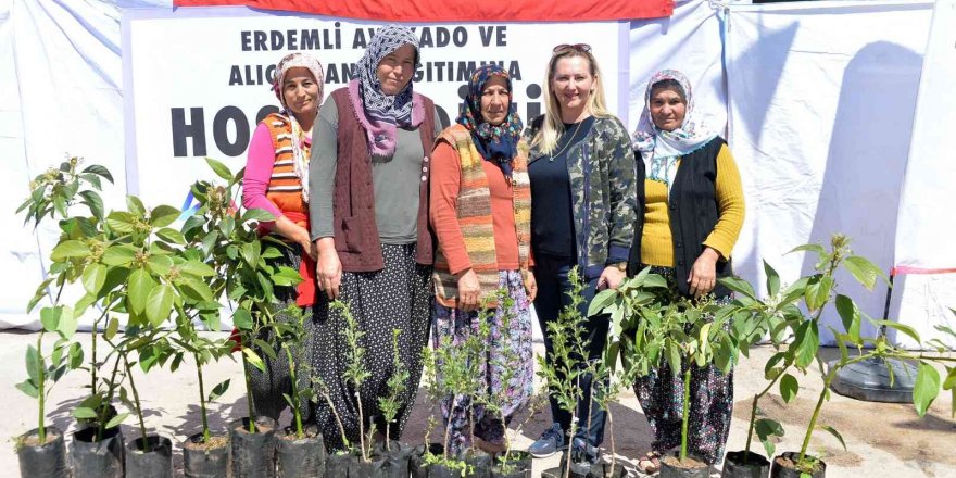 Büyükşehir Belediyesinden Erdemlili üreticilere avokado ve alıç fidanı