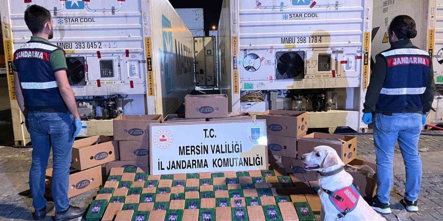 Mersin’de muz kolileri içerisine gizlenmiş 258 kilo kokain ele geçirildi